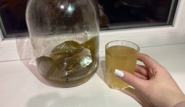 marinuoto sūrymo skonio stiprintuvai