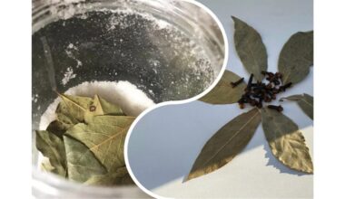 padėta druskos dubenėlis su lauro lapu