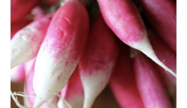 sėti sėklas į skylę