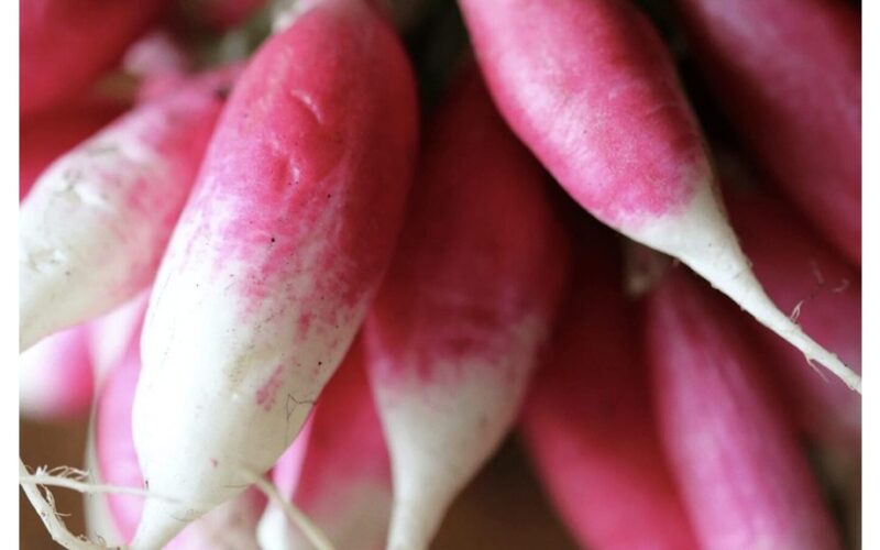 sėti sėklas į skylę