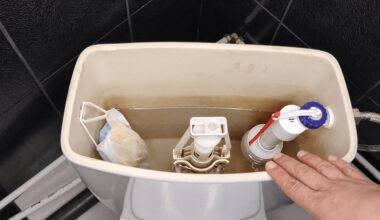 santechnikas apdovanotas auksine tualeto kauke