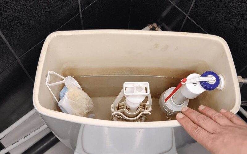 santechnikas apdovanotas auksine tualeto kauke