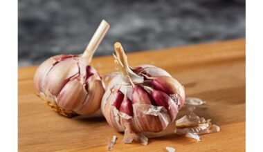 proven garlic storage method shared