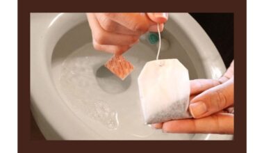 įdėkite arbatinį maišelį į tualetą