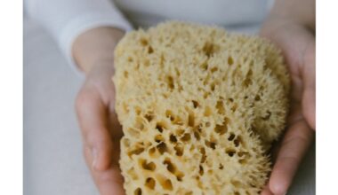 reuse sponges for floral preservation