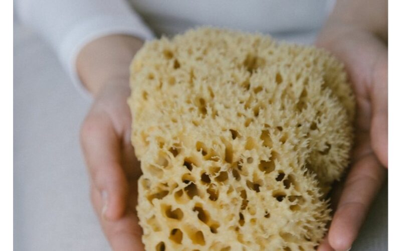 reuse sponges for floral preservation