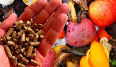 lėtos komposto lysvės antawnawai