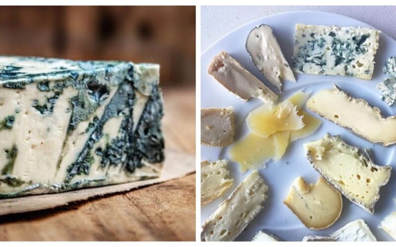ragauti mėlyno pelėsinio sūrio