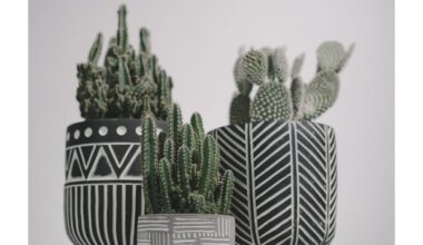 trys sultingųjų priežiūros paslaptys