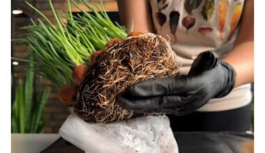 trys unikalios laiko taupymo patarimai