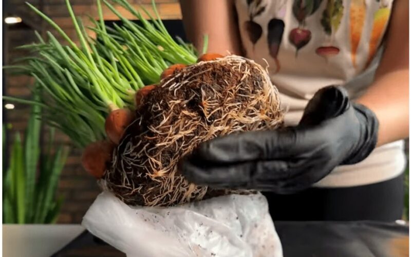 trys unikalios laiko taupymo patarimai