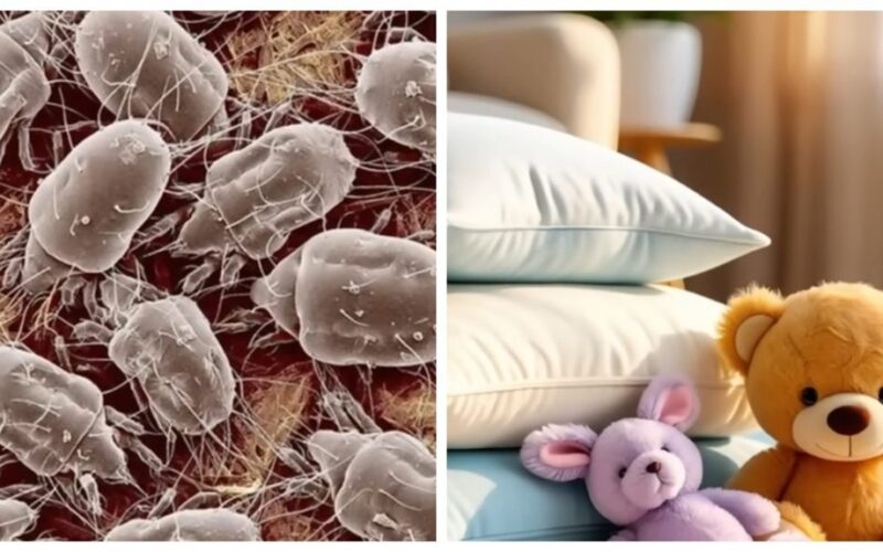 paversti šaltį dezinfekciniu средство