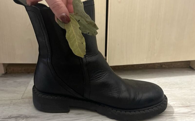 du lauro sportbačiai apžvalga