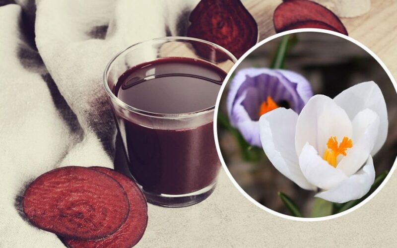 laistymas kambarinių augalų su užpildu