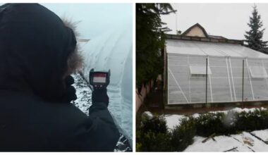 kodėl daržininkai atidaro šiltnamius