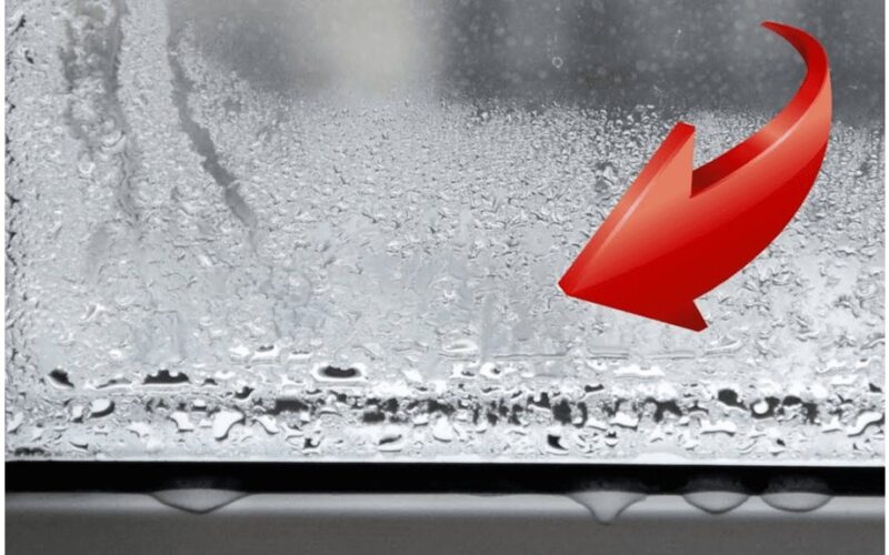 langai niekada nelašė net šalčio metu