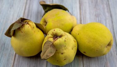 200 g purškalas saugo kriaušes nuo dėmių