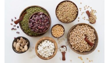 avokadas prieš ankštinius augalus