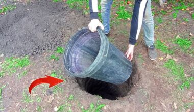 užkasta plastikine statinė maitinanti šaldytuvą