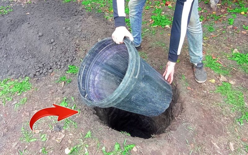 užkasta plastikine statinė maitinanti šaldytuvą