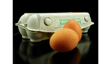 tikrinami kiaušinių dėžių kodai