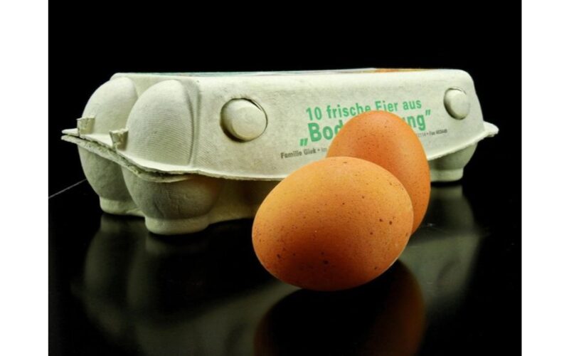 tikrinami kiaušinių dėžių kodai