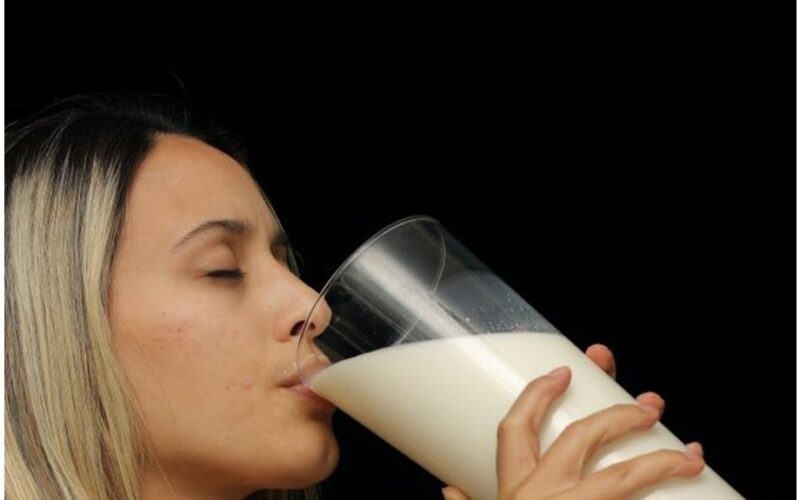 protingai renkantis augalinius pienus