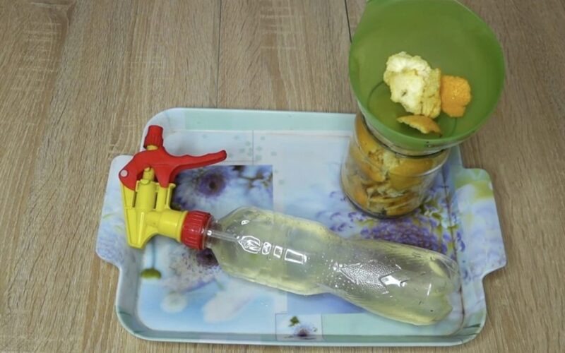 citrusinių vaisių žievelių acto valiklis