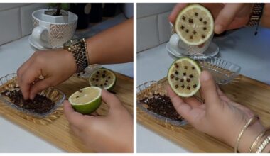 citrina, įbestais gvazdikėliais, ant palangės