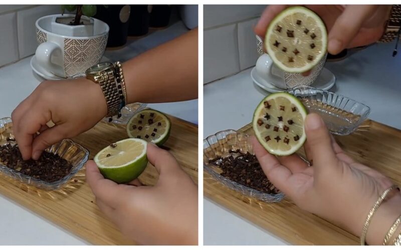 citrina, įbestais gvazdikėliais, ant palangės