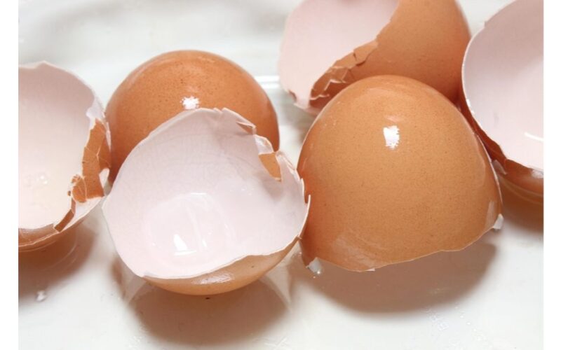 kiaušinių lukštų rinkimas kūrybai