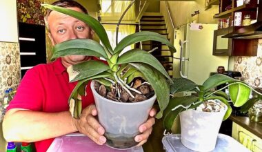 ištirpinti 10 g vandens