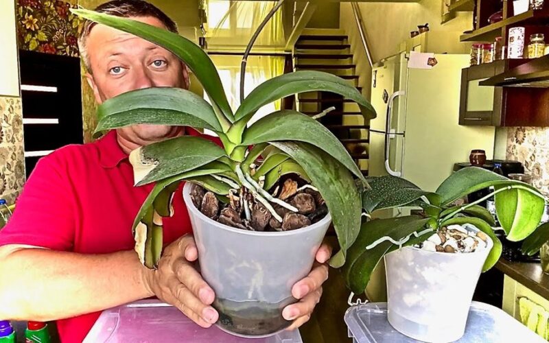 ištirpinti 10 g vandens