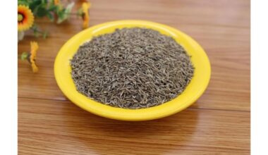 dieviškoji augalija paminėta vieną kartą