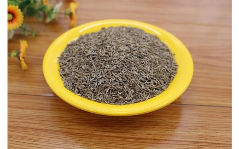 dieviškoji augalija paminėta vieną kartą