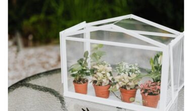 diy mini šiltnamis iš spintelės