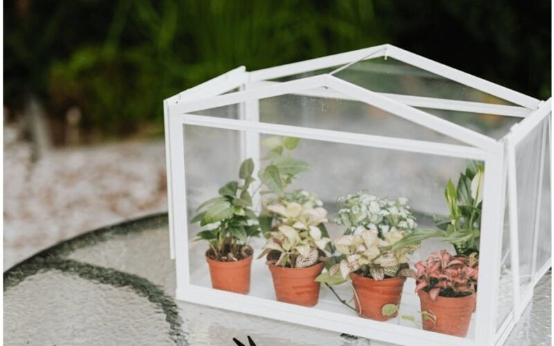 diy mini šiltnamis iš spintelės