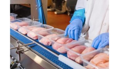 nesivalgyk to viščiuko gabalo