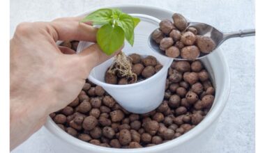 nuotėkis be išplėsto molio