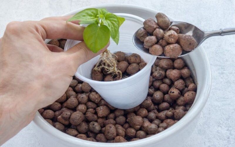 nuotėkis be išplėsto molio