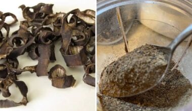 džiovintos bananų žievės žiemai naudojimas