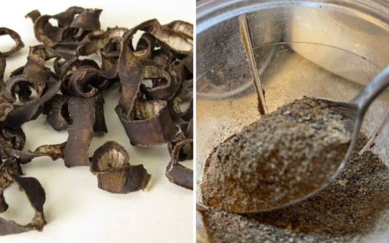 džiovintos bananų žievės žiemai naudojimas