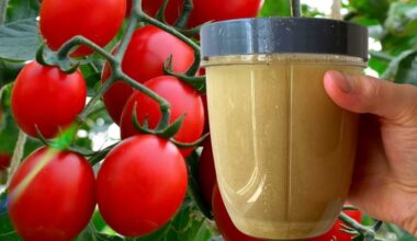 krikštamotė perka mielių pakelius