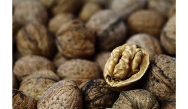 močiutės 1983 riešutmedžio išsaugojimo patarimas