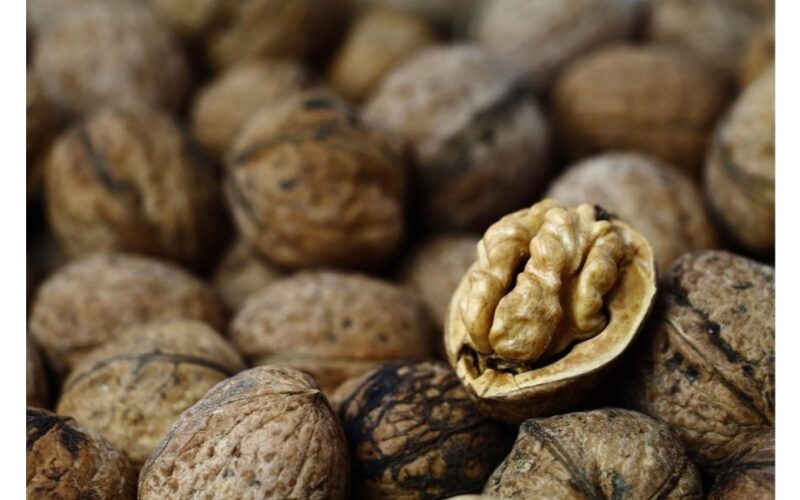 močiutės 1983 riešutmedžio išsaugojimo patarimas