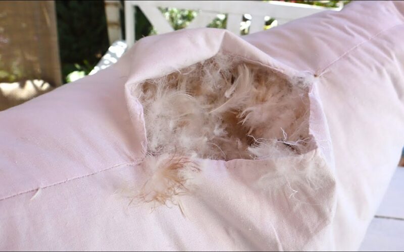 močiutės seno pagalvės kimšalas