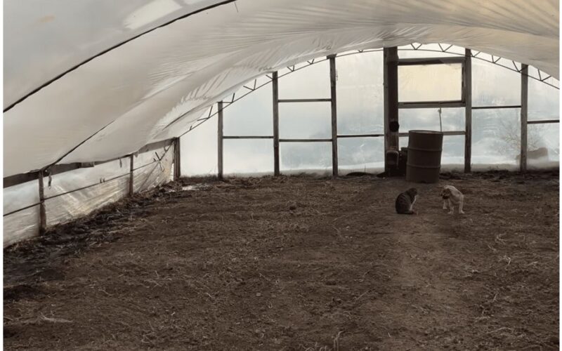 šiltnamio plastikas blizga kaip naujas