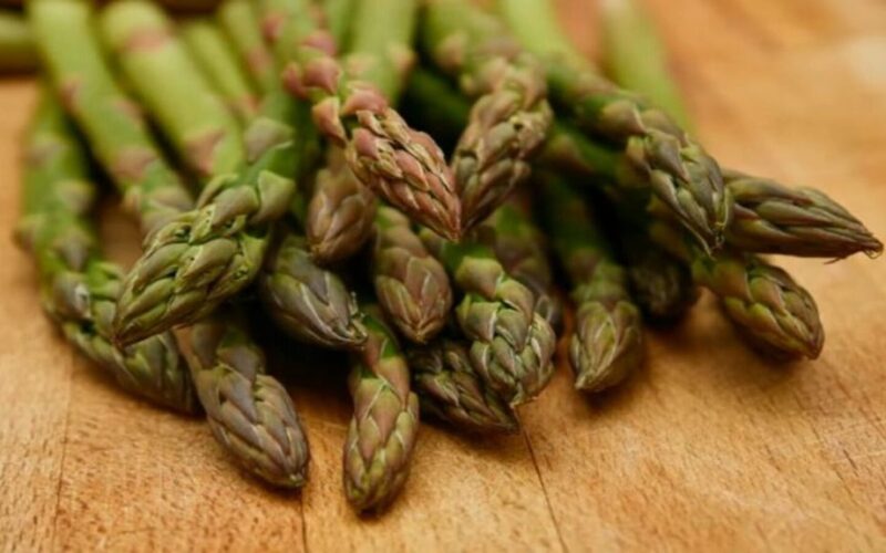 auginimas smidrų daigų iš sėklų