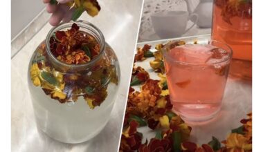 naminis gudobelės kvassas