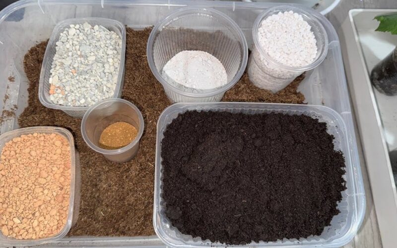 namų daigų dirvožemio receptai